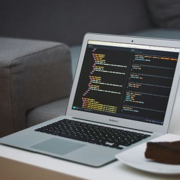 WordPress hulp gezocht? WP Lion uit Waspik staat voor je klaar