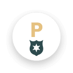 P - Probleemloze WordPress website