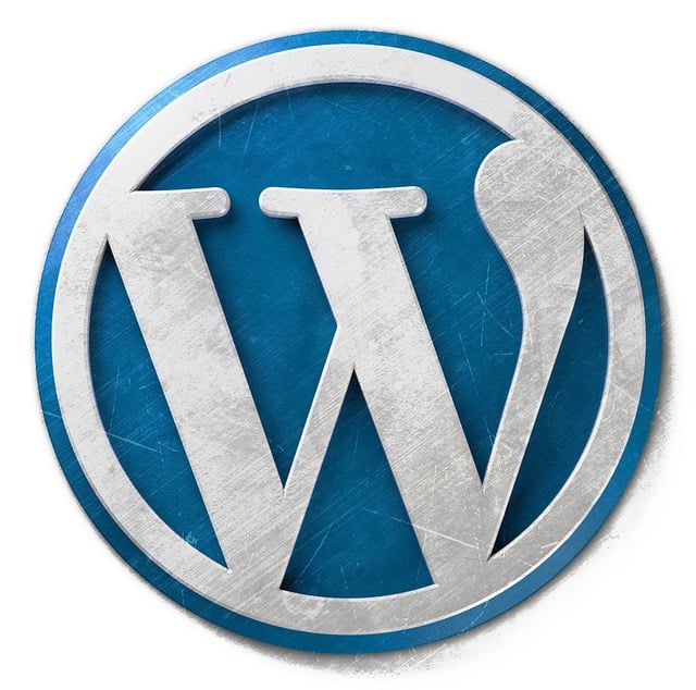 WordPress website CMS is een krachtig CMS om mooie websites te bouwen