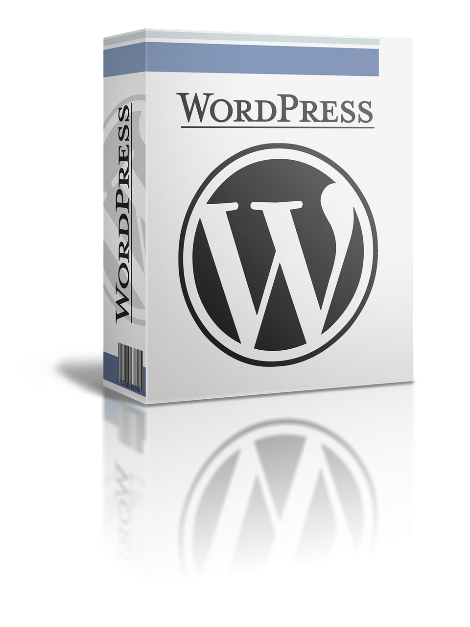 WordPress door de jaren heen. van simpele blog tot krachpatser