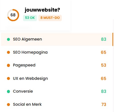 voorbeeld-analyse website audit