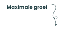 Maximale groei voor je business