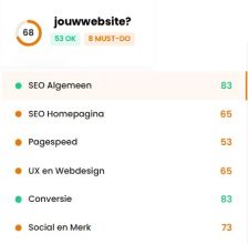 voorbeeld-analyse website audit