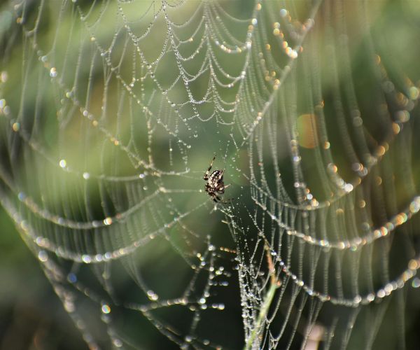 Website structuur opzetten: zo bouw je een logische website