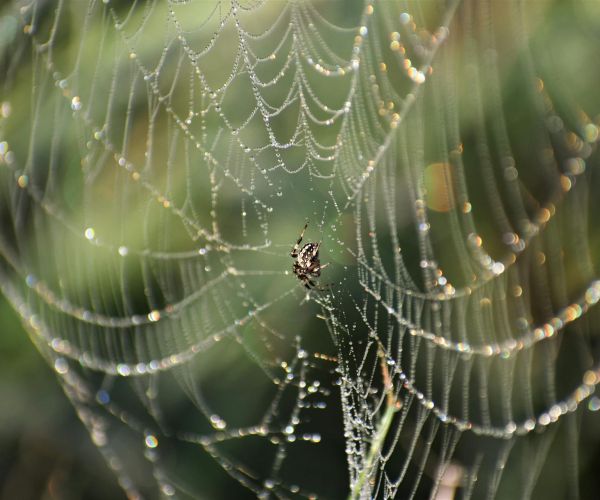 Website structuur opzetten: zo bouw je een logische website