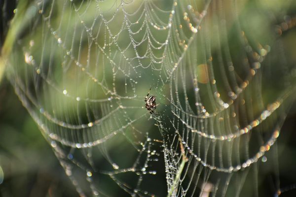 Website structuur opzetten: zo bouw je een logische website